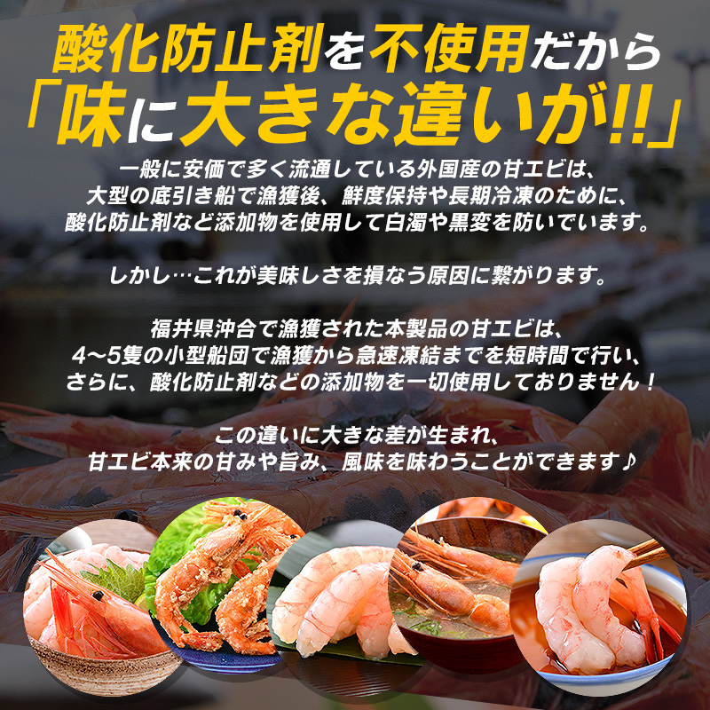  северная креветка ... очень большой . держать sashimi 500g примерно 30 хвост рефрижератор Echizen северная креветка Fukui префектура подарок День матери День отца 