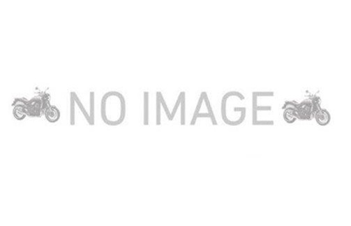 ZZR400 SUS4-2-1 カーボン 40403-21SCBの商品画像