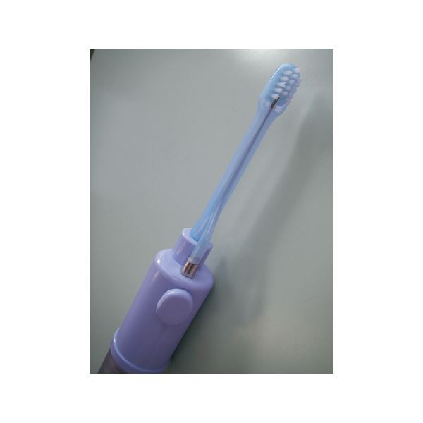  Tokyo technical research institute oral cavity care viva rack plus (3) note water absorption toothbrush set E562