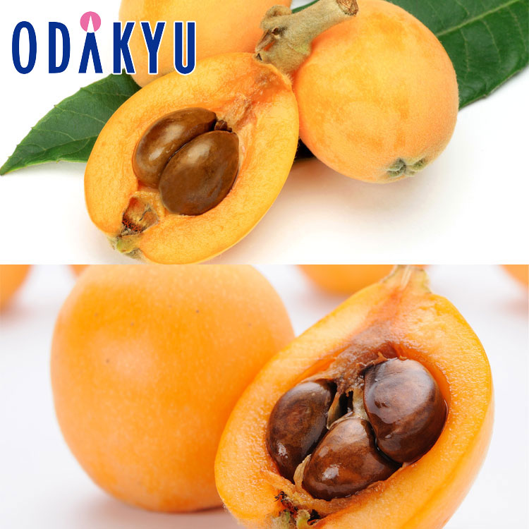 biwa free shipping meal . comparing Nagasaki loquat &amp;..... loquat preeminence approximately 0.4kg [7-12 day by the level. delivery ]* Okinawa * remote island . is . un- possible 
