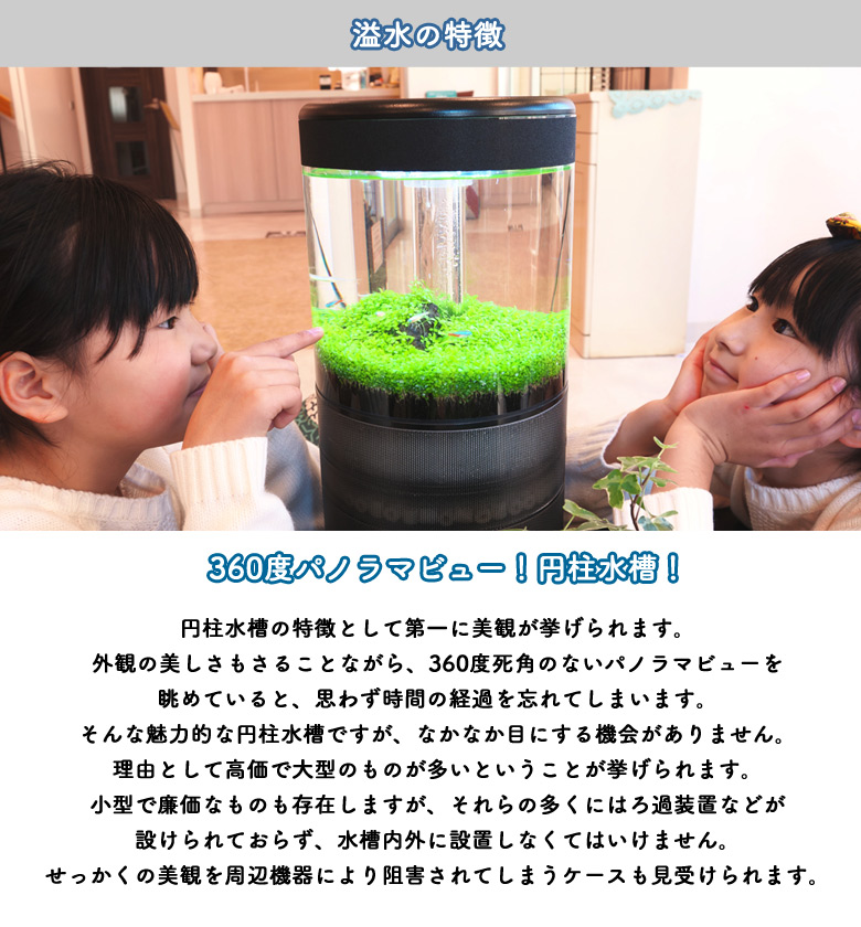 . вода .... стартер комплект переполнение аквариум . -слойный структура иен стойка type аквариум аквариум маленький размер тонкий перевозка 