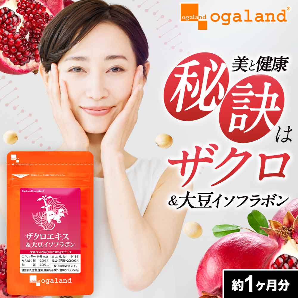 約1ヶ月分（90粒） / 1個