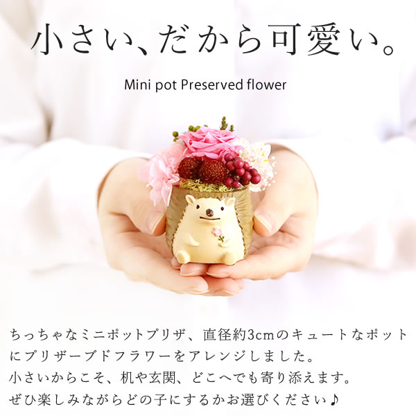  Mother's Day present flower 2024 gift preserved flower confection sweets hydrangea flower . sweets Japanese confectionery .... dog cat 50 fee 60 fee 70 fee 80 fee 90 fee 