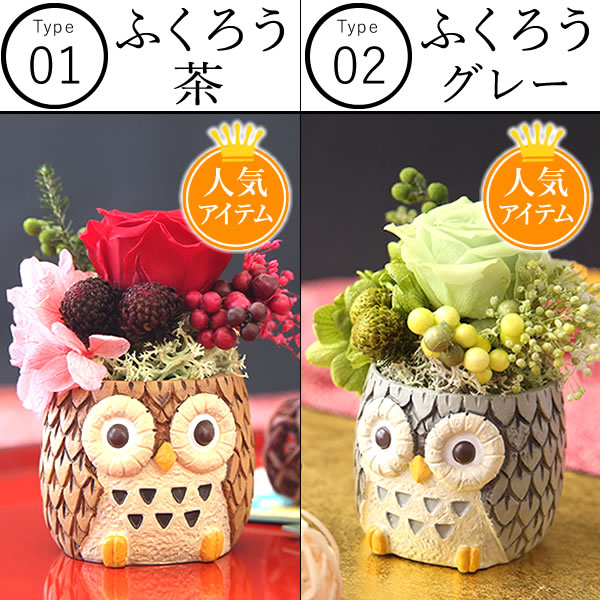  birthday present flower 2024 gift preserved flower confection sweets flower . sweets Japanese confectionery .... dog cat 50 fee 60 fee 70 fee 80 fee 90 fee 