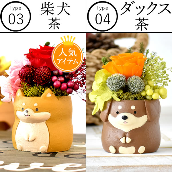  Mother's Day present flower 2024 gift preserved flower confection sweets hydrangea flower . sweets Japanese confectionery .... dog cat 50 fee 60 fee 70 fee 80 fee 90 fee 