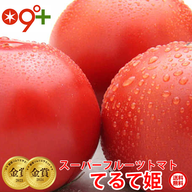  gift fruit tomato super fruit tomato small box 8~12 sphere approximately 800g..... for Ibaraki prefecture direct delivery from producing area 