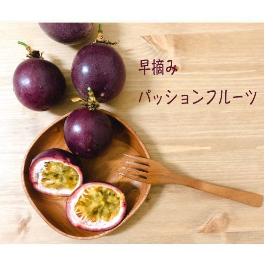  passionfruit 6 piece entering ... Okinawa production nationwide free shipping 