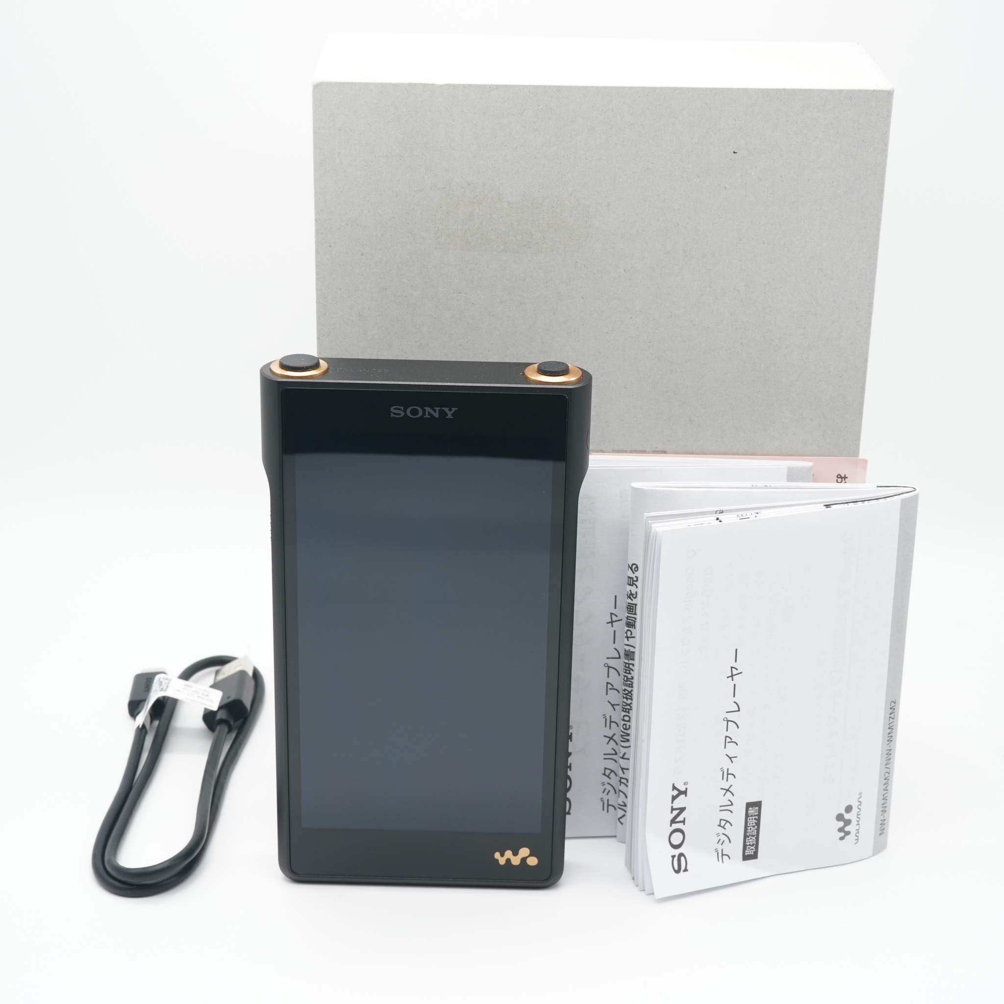 SONY ウォークマン Aシリーズ NW-A10シリーズ NW-A16 （L） ブルー