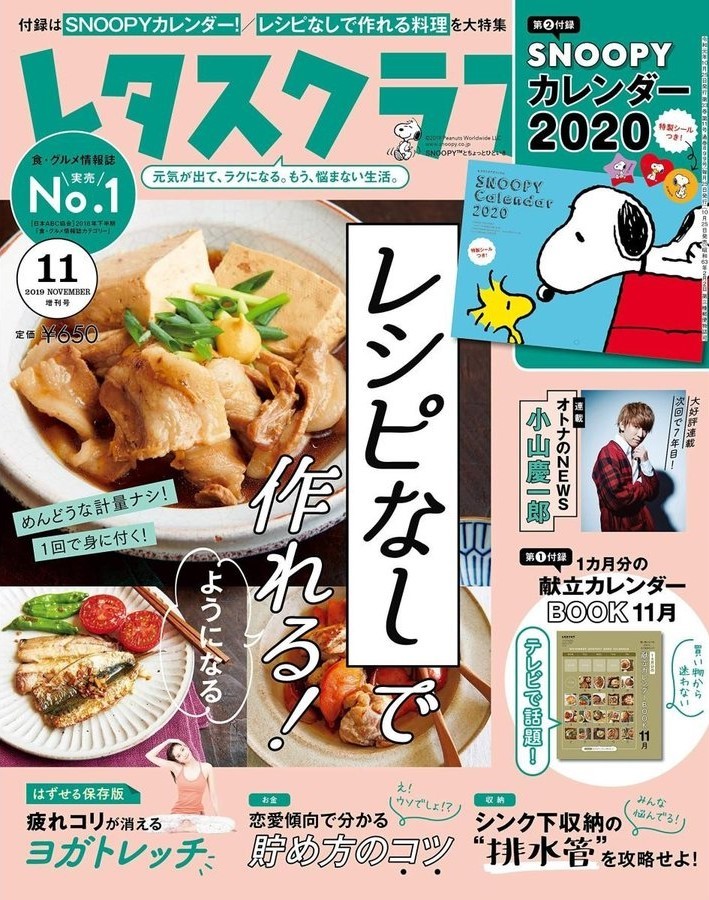 レタスクラブ増刊 レタスクラブ１１月増刊号 ２０１９年１１月号 （ＫＡＤＯＫＡＷＡ）の商品画像