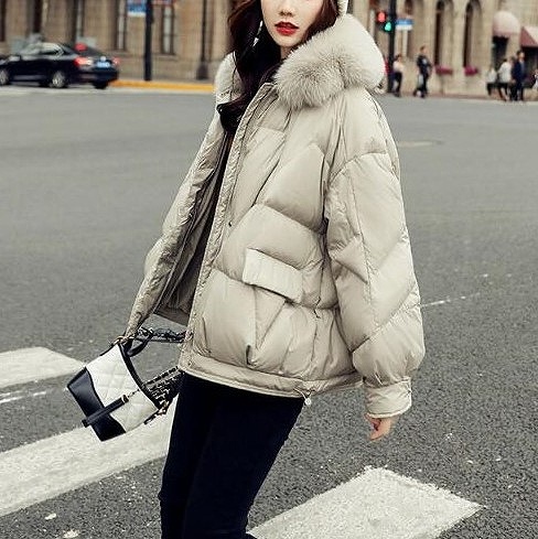 ネット卸売り ダウンジャケット ダウンコート アウター レディース 30代 40代 50代 ショート丈 長袖 無地 純正買付 Ssl Daikyogo Or Jp