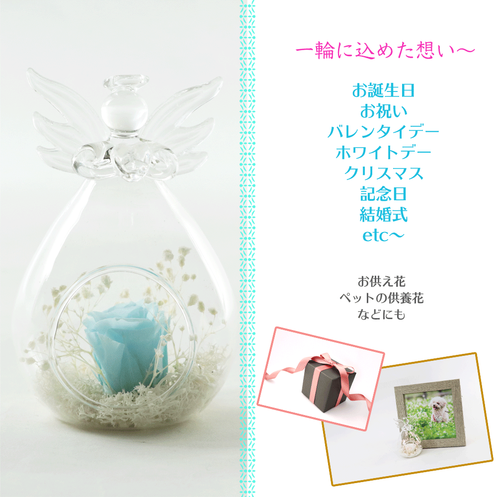  preserved flower angel glass dome . flower Angel celebration gift present birthday wedding memory day 
