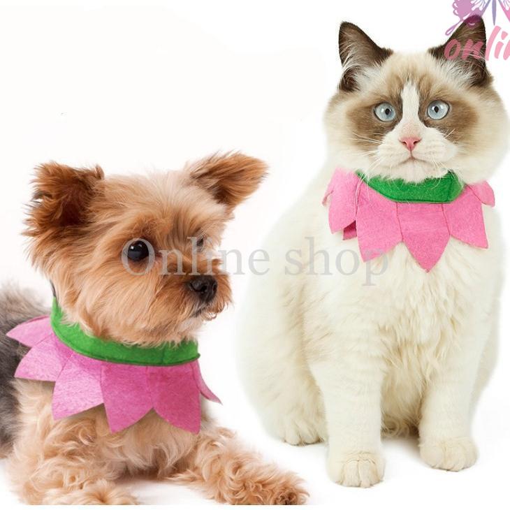  pet clothes cat for accessory cat clothes costume play clothes costume pet wear dog for metamorphosis put on goods 