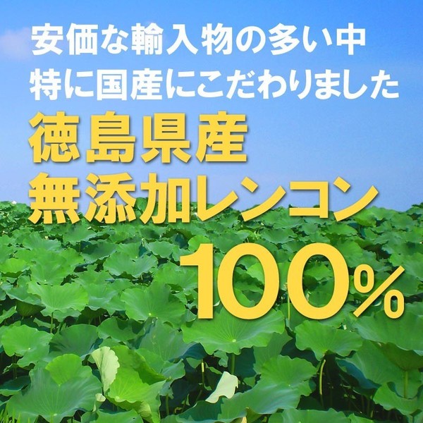  domestic production renkon powder 100g×2 sack free shipping lotus powder powder sale no addition lotus root flour Tokushima prefecture production (.. equipped with translation )