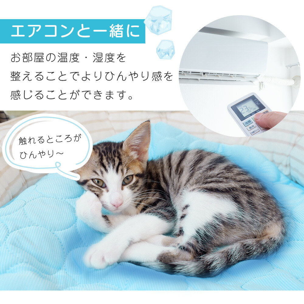  pet mat .... mat cool mat dog cat ... cold sensation bed seat in car . middle . measures cooling goods summer pet mitas