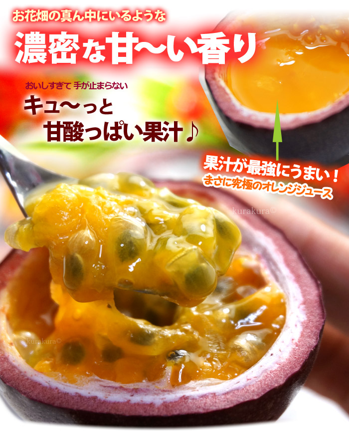  passionfruit (18-25 sphere / approximately 1.8kg) Kagoshima production large sphere passion ..... tropical fruit height sugar times clock saw food fruit fruit passionfruit 