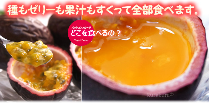  passionfruit (18-25 sphere / approximately 1.8kg) Kagoshima production large sphere passion ..... tropical fruit height sugar times clock saw food fruit fruit passionfruit 