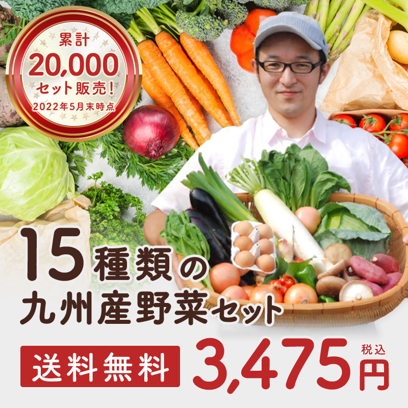 [....][ set ] incidental Kyushu vegetable set 15 goods .. vegetable ....* incidental assortment set! west Japan [ free shipping ]