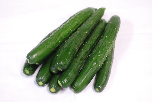 ( economical ) Kyushu production cucumber ( cucumber *..*..-.* cue li) 1kg [ Kyushu * Kumamoto * Fukuoka production ]