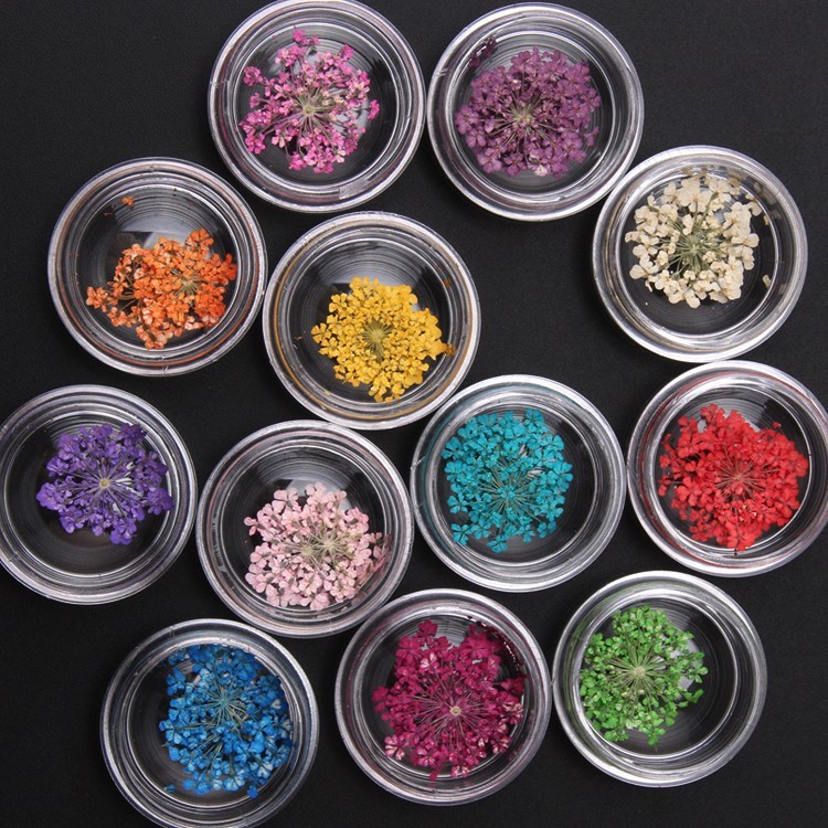  flower pressed flower dry flower nails flower 12 color free is possible to choose self nails gel nails 