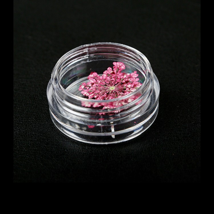  flower pressed flower dry flower nails flower 12 color free is possible to choose self nails gel nails 