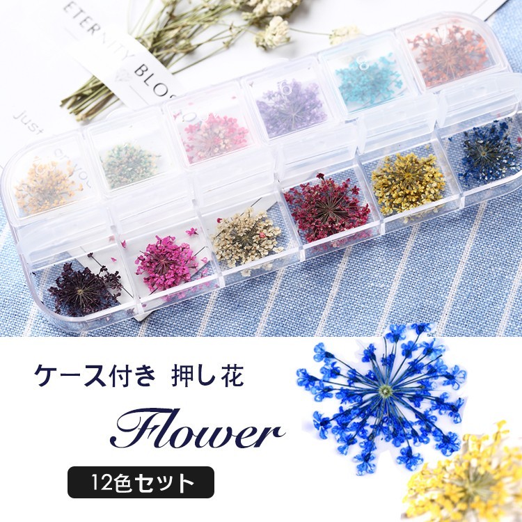  dry flower pressed flower flower 12 color set nails flower 12 color nails supplies wheel gel nails resin parts. embedded .