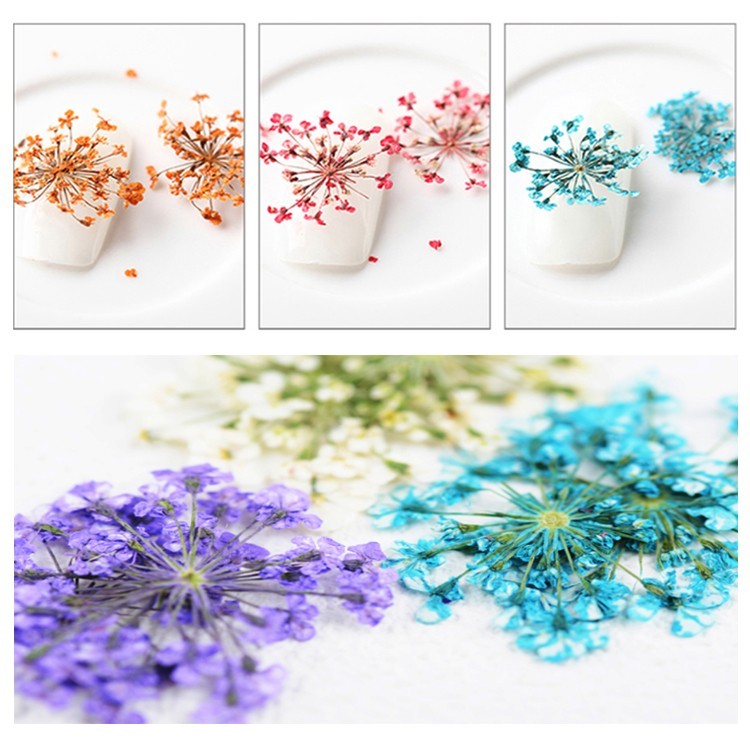  dry flower pressed flower flower 12 color set nails flower 12 color nails supplies wheel gel nails resin parts. embedded .