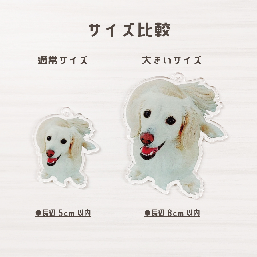  key holder photograph entering 50mm 80mm pet memorial goods original dog cat hamster ...... . goods child .ak key 