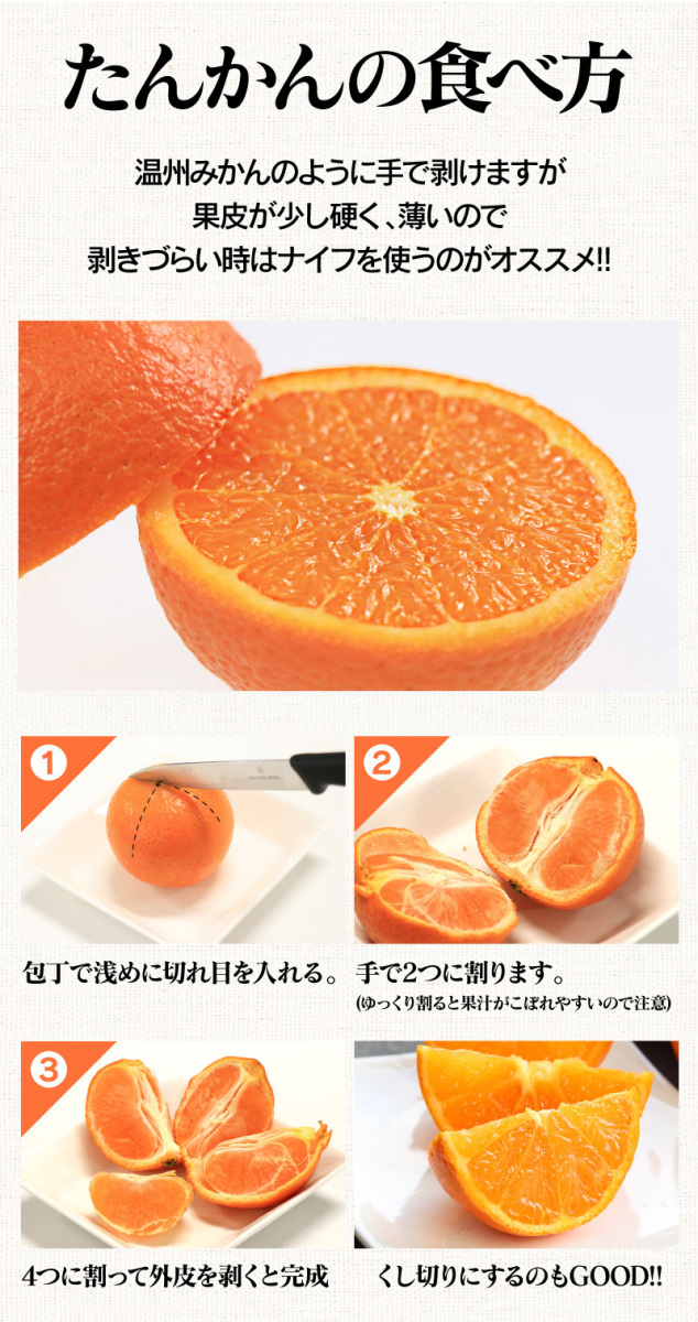 フルーツ 果物 たんかん 5kg 送料無料 3月上旬より出荷 みかん 鹿児島 農家直送 低農薬 タンカン 大嶌屋 おおしまや おいしさ直送 熊本おおしま屋 通販 Yahoo ショッピング