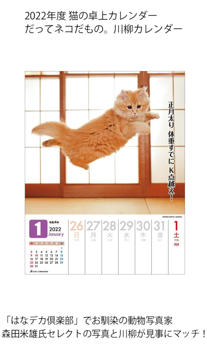 最大53 オフ ネコまる 週めくり 22 卓上 カレンダー Www Anavara Com