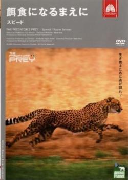  case less ::bs:: animal * planet bait meal become ... Speed rental used DVD