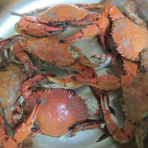  seafood crab raw shipping! meal for isigani stone .4kg. condition packing approximately 4kg40 cup direct delivery from producing area 