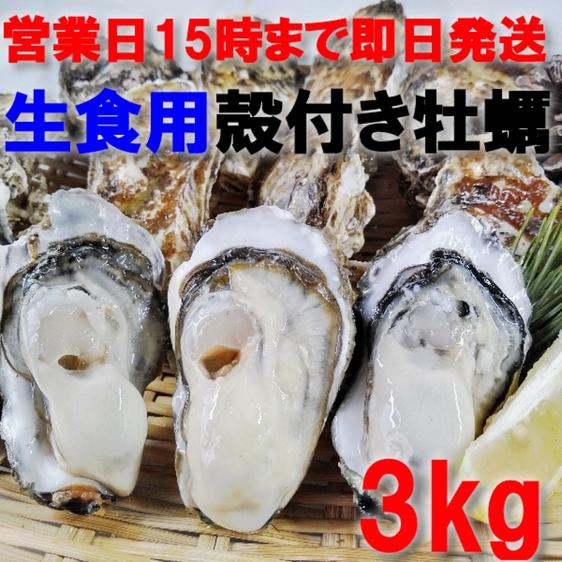 seafood .. raw meal for . attaching ..3kg( approximately 27 piece )... attaching pine island .. shop .. direct delivery from producing area 