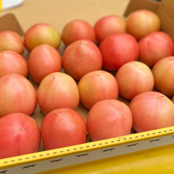  овощи помидор [ включая доставку ]2S размер. ..... персик Taro toma прямая поставка от производителя 