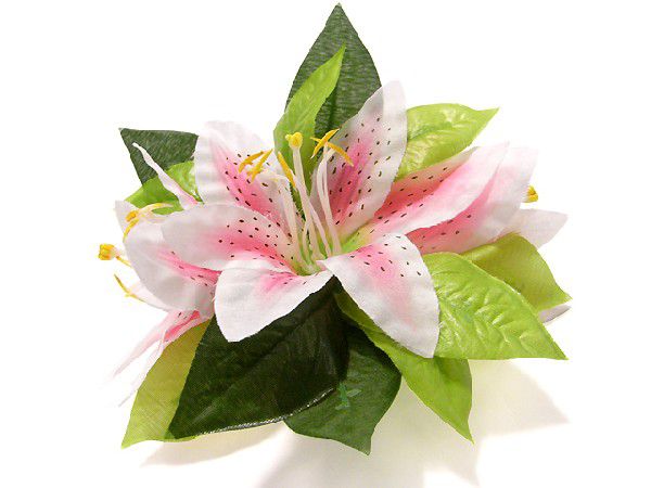  волосы зажим Spider Lilly розовый CL032