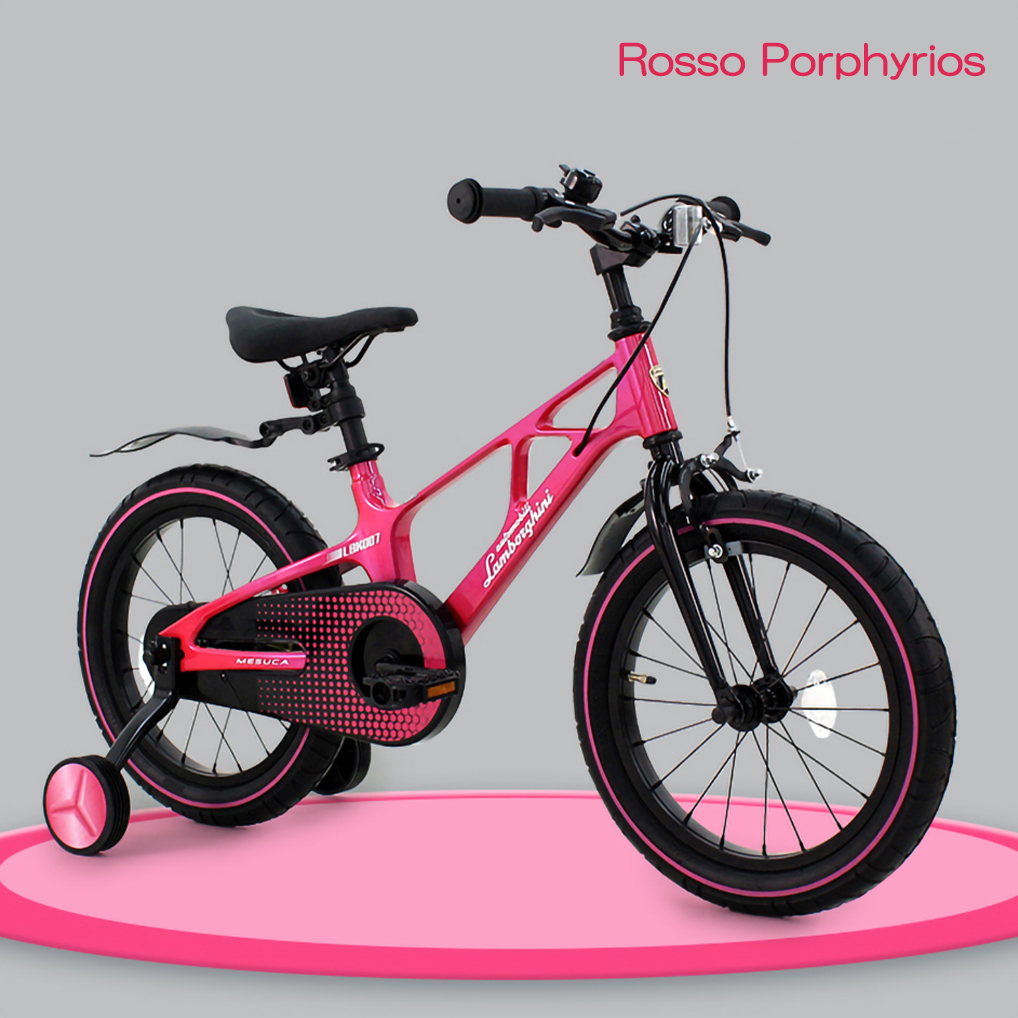 Lamborghini ( Lamborghini ) 16 -inch bicycle for children assistance wheel stand mud guard standard equipment super light weight Magne sium material 5~8 -years old conform 