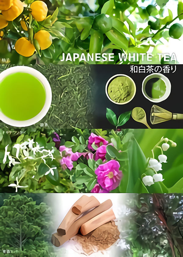 [ maximum 1,000 jpy off coupon ] perfume mono earth MONOEARTHo-do Pal fam peace white tea. fragrance EDP SP 50ml Japanese White Tea [ men's lady's ] fragrance 