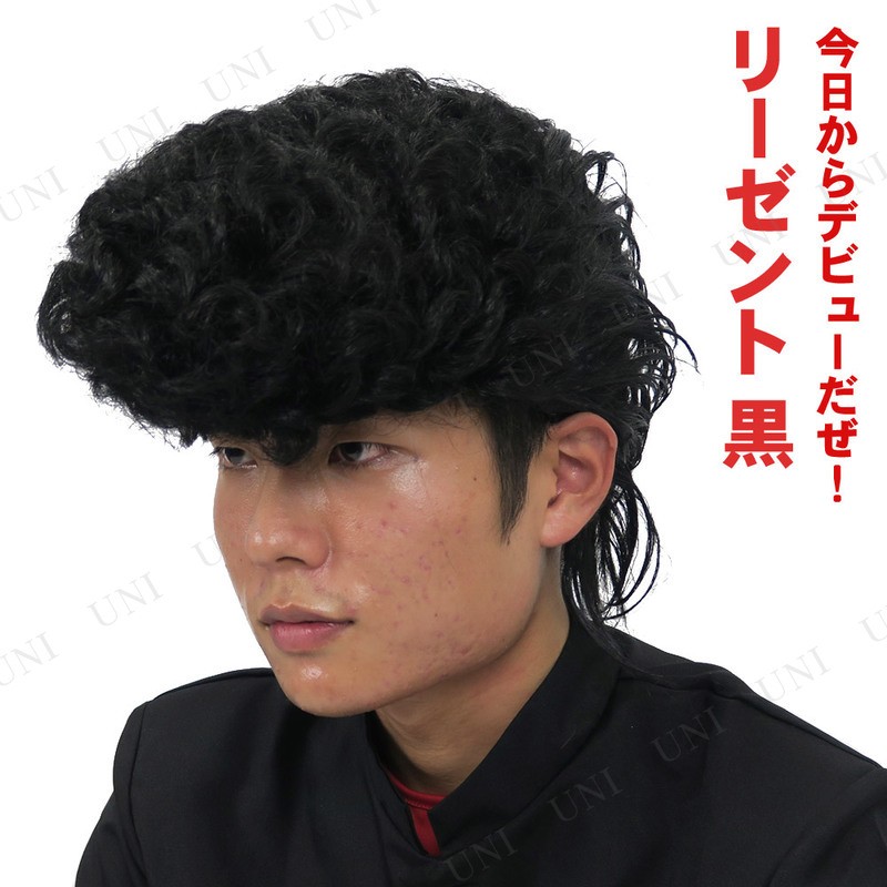 コスプレ 仮装 衣装 ハロウィン パーティーグッズ かぶりもの Patymo リーゼント 黒 Pw s パーティワールド 通販 Yahoo ショッピング