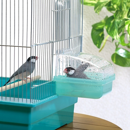 SUDO вне . тип bird автобус вода .. клетка . установка ... вода .. контейнер бассейн sdo- птица длиннохвостый попугай bnchou документ птица kana задний ласты chi