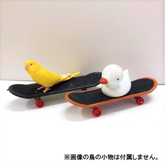  bird toy skateboard 1 piece toy parakeet parrot skateboard . bird skate board( color * pattern designation un- possible )