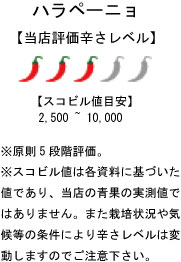  domestic production raw chili pepper is lape-nyo green 500g freezing goods Chiba prefecture production 