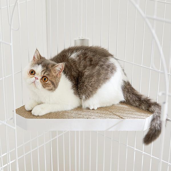  cage for step 3 type set cat cage for step small cat . cat sinia cat short pair cat gauge stair installation easy cardboard made nail ..PEPPYpepii
