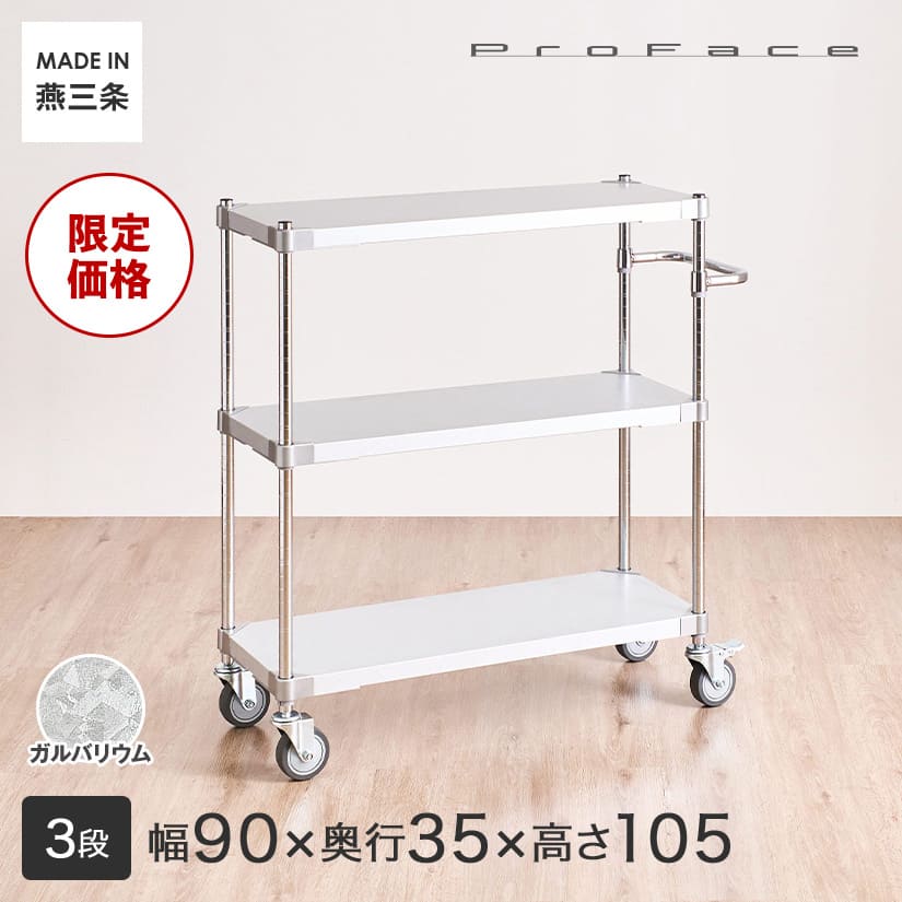 PROFACE Pro лицо garu шероховатость um руль имеется Wagon ширина 90 глубина 35 высота 105 3 уровень ( ширина 91.3× глубина 36.2× высота 105.5cm) TGGS3-35909