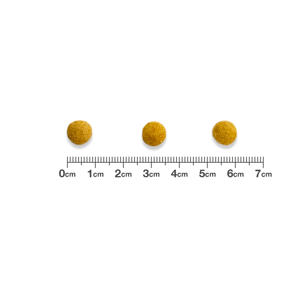 [ кошка pohs ( включение в покупку не возможно )]betsu one betelina Lee кошка для .. уход chi gold 100g