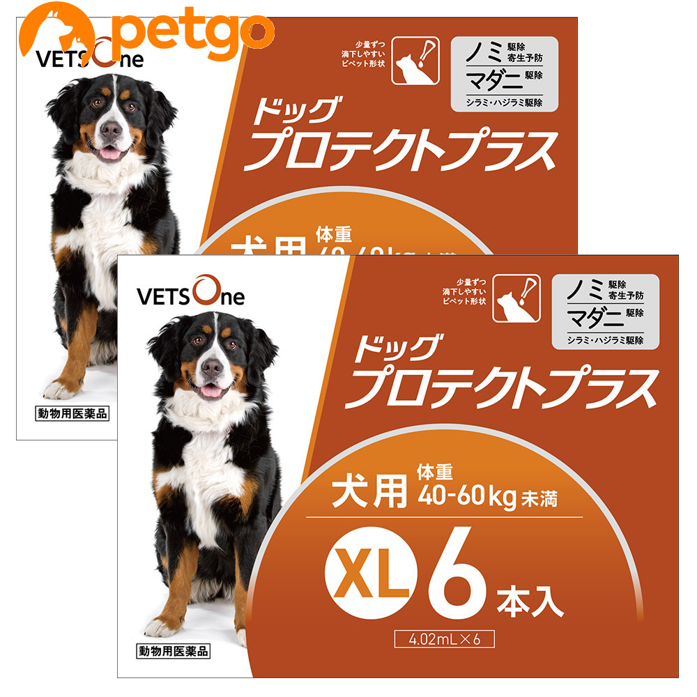 ペットゴー ベッツワン ドッグプロテクトプラス XL（40kg～60kg未満）4.02ml×12本 犬用医薬品の商品画像