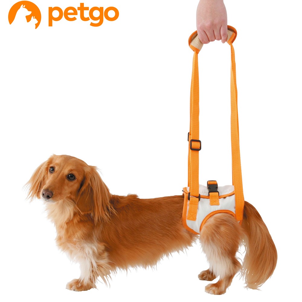 petiozuttone( значительно .). собака уход для приспособление для ходьбы Harness после для ноги M