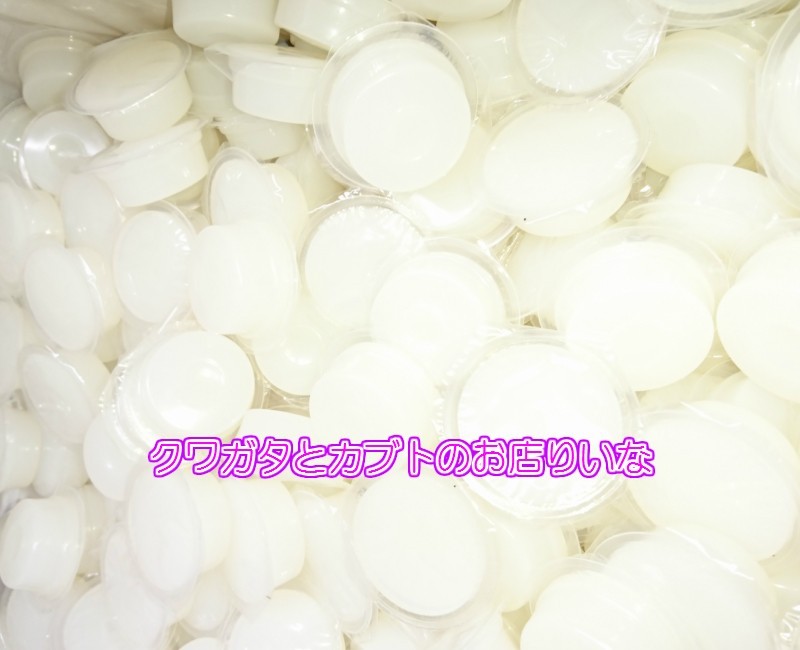 [ free shipping *KB farm made ][ stag beetle * rhinoceros beetle for ] white jelly 18g 300 piece 