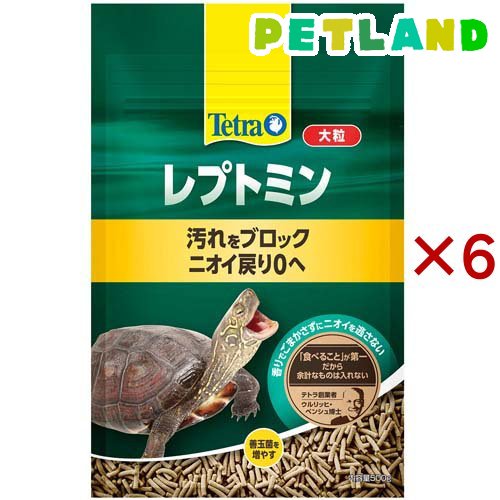 500g / 6個