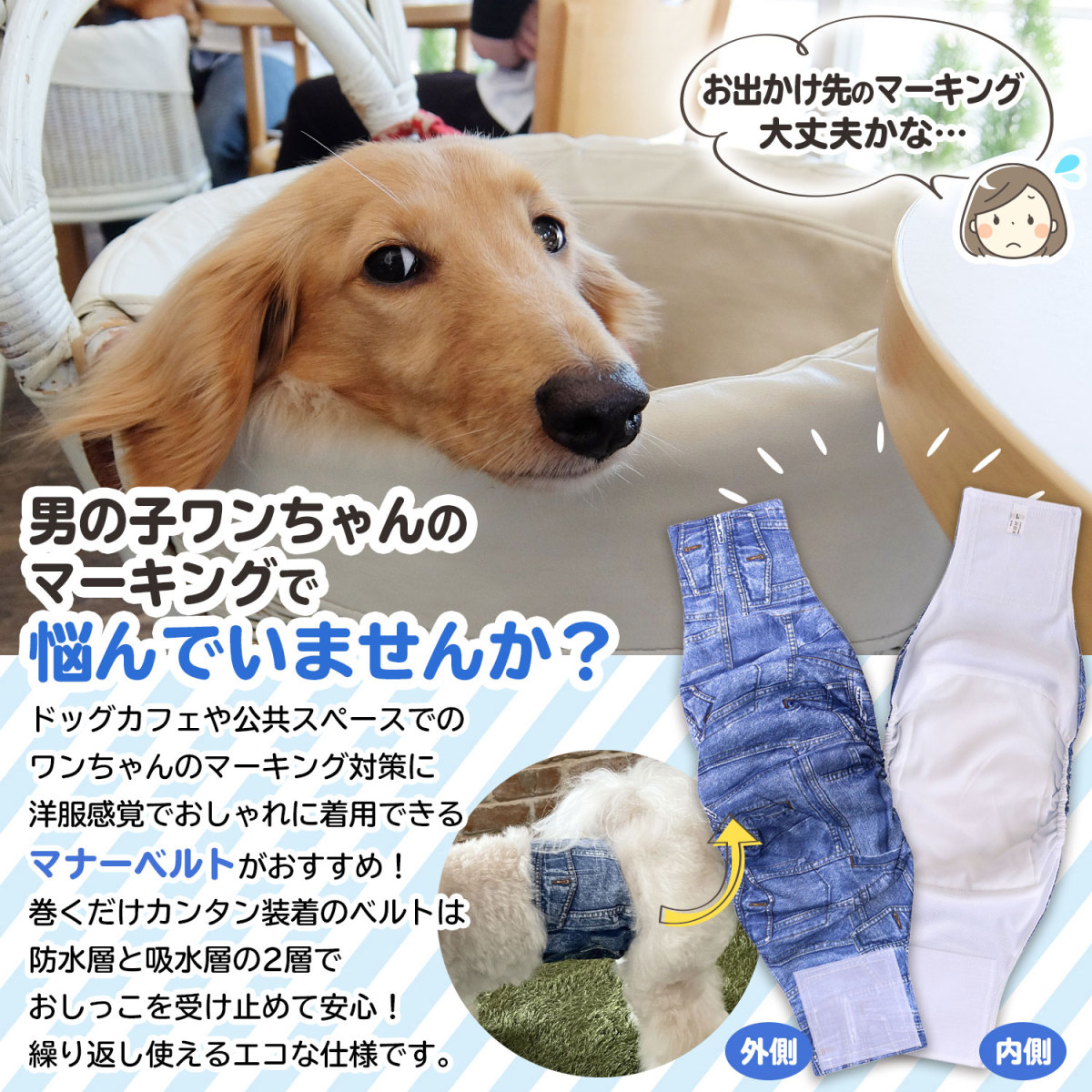 ペットプロ マナーベルト ｍ 関東当日便 キリン