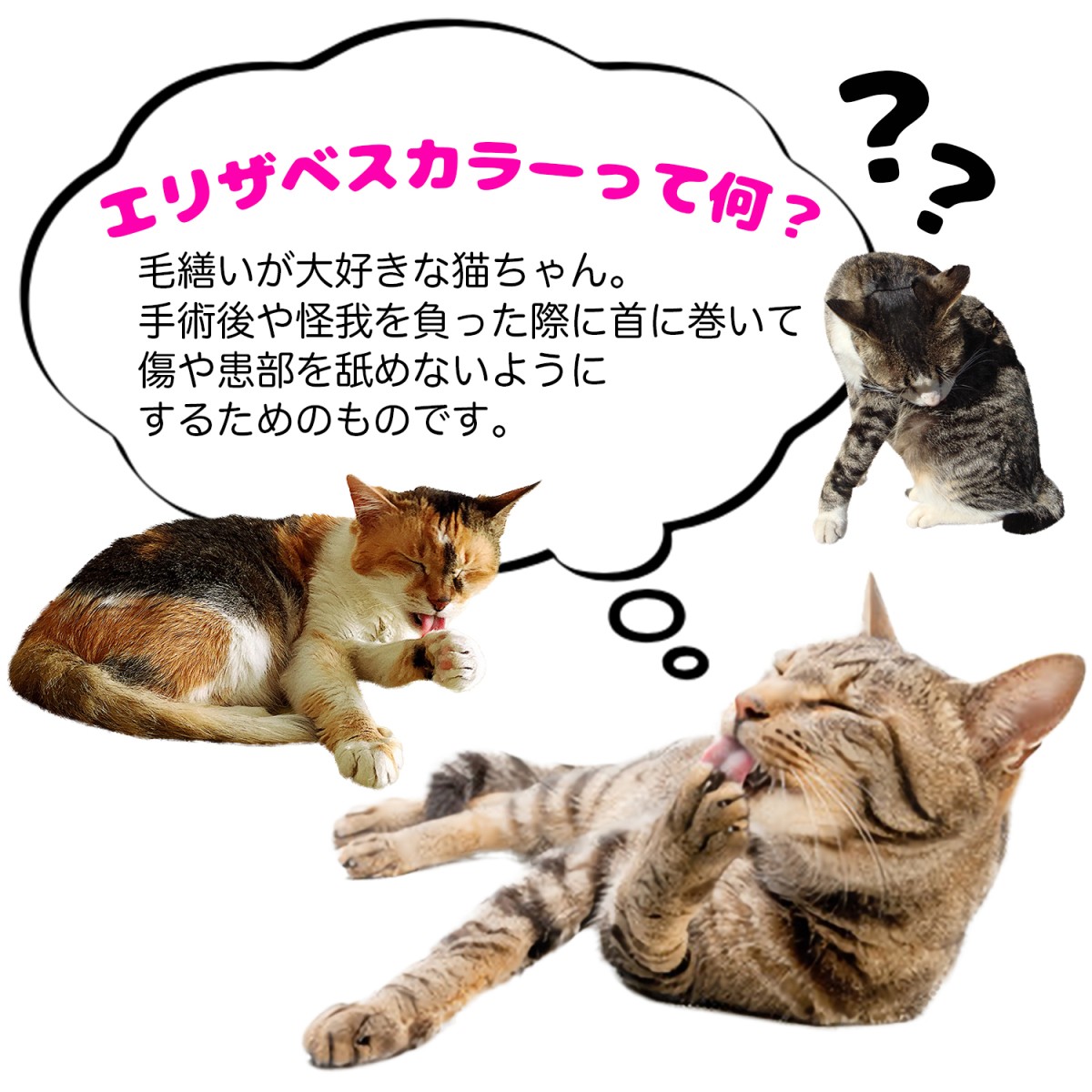エリザベスカラー 猫 ソフト 超小型 犬 軽量 (5枚セット)フェルト/エリザベスカラーひまわり :ns00304:プチプラ雑貨 and more RaraMart - 通販 - Yahoo!ショッピング エリザベスカラー 猫 ソフト 超小型 犬 軽量 (5枚セット)フェルト/エリザベスカラーひまわり :ns00304:プチプラ雑貨 and more RaraMart - 通販 - Yahoo!ショッピング