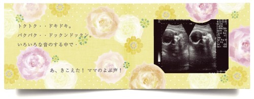 [ mail delivery commodity postage 300 jpy ] eko - photograph album 10 exist 10ka thing ...[ flower ]